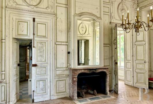 chateaux a vendre centre val de loire   - 3